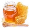 //Notice perte récoltes miel//